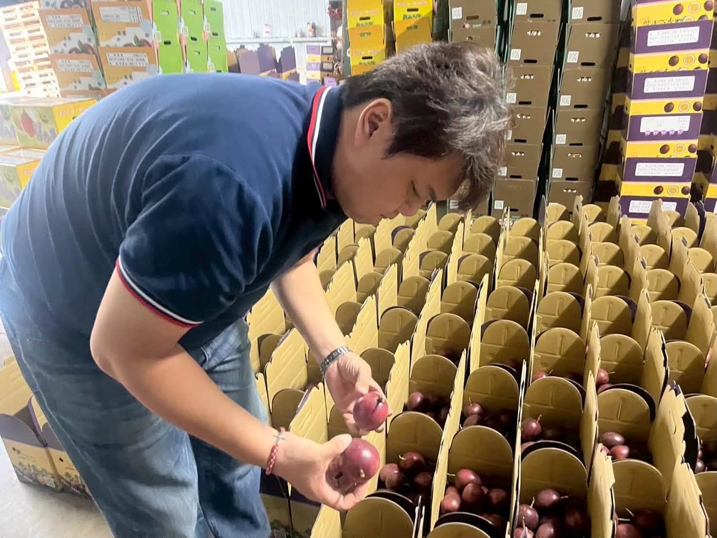 【產地直送的酸甜心意｜您的百香果到貨了嗎？】